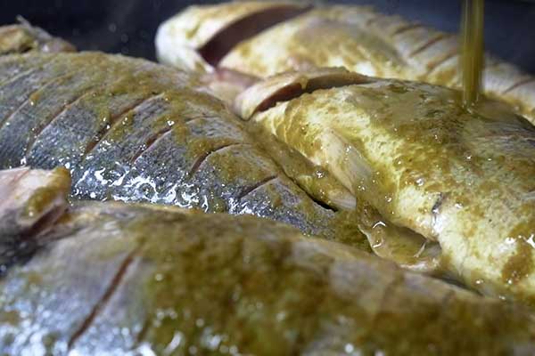 Nourriture pour poissons en forme de ver de poisson Algeria
